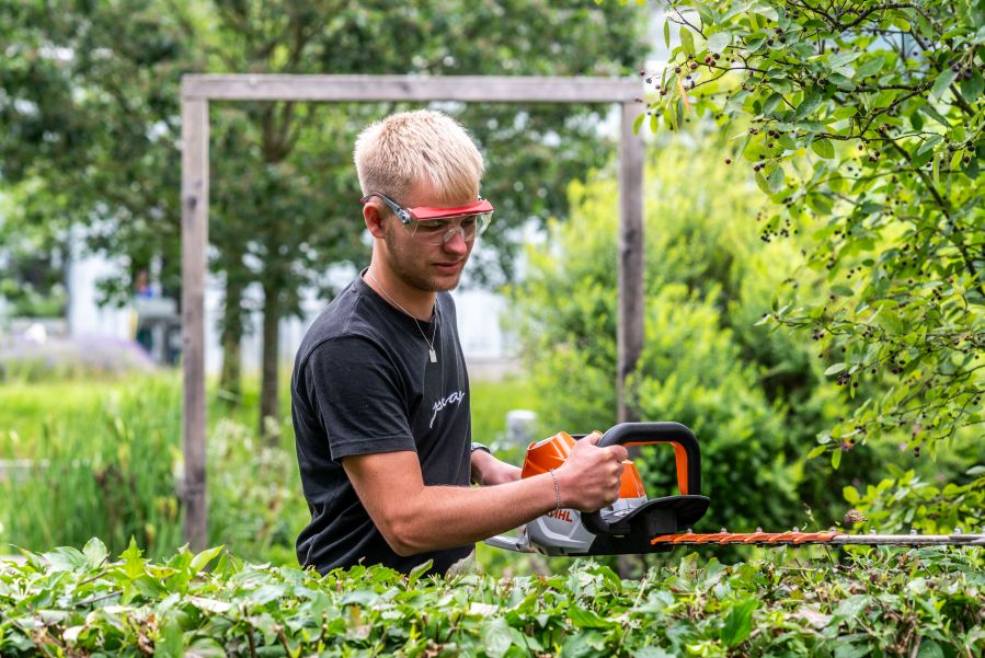 Schüler beim Hecke schneiden